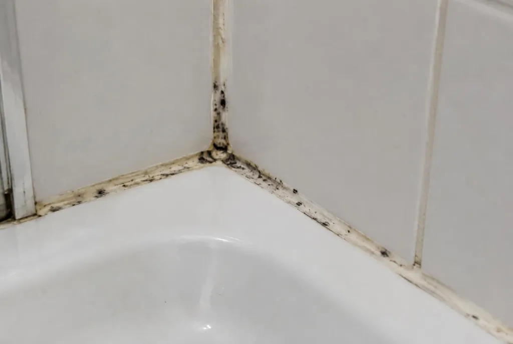 Kitbedrijf Odijk – beschimmelde kitranden